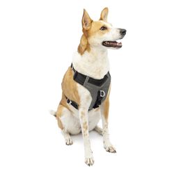 PetSafe Journey Air Black Nylon Dog Harness Large