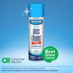 Sprayway Fresh Scent Glass Cleaner 19 oz Foam