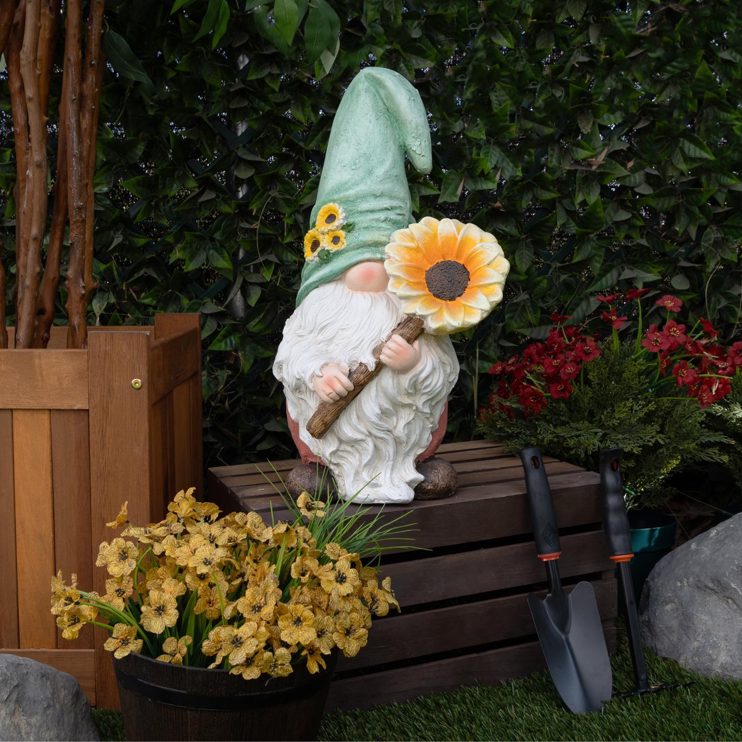 image-5