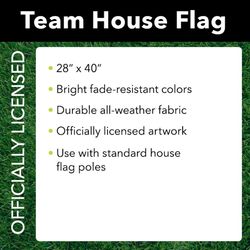 Briarwood Lane Pittsburgh Steelers House Flag 28 in. W X 40 in. L