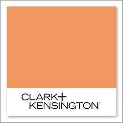 Clark+Kensington Hokey Pokey 10C-5