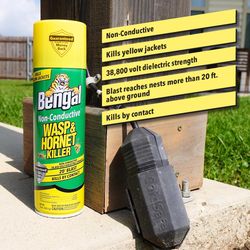 Bengal Non-Conductive Wasp and Hornet Killer Aerosol 15 oz