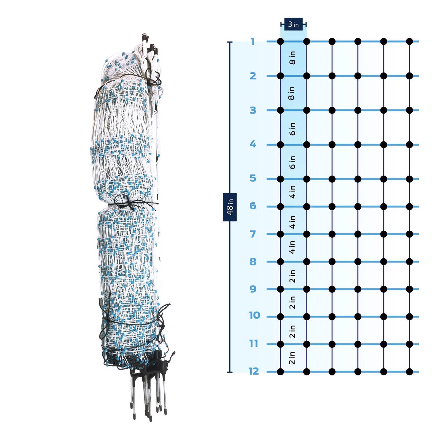 image-5
