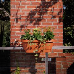 Bloem 9 in. H X 24 in. W X 12 in. D Plastic Deck Rail Planter Terracotta
