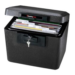 Sentry Safe 0.61 cu ft Key Lock Black Lock Box