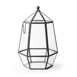 SuperMoss 10.5 in. H X 6.5 in. W Glass/Metal Terrarium Atrium