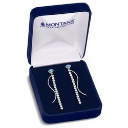 Montana Silversmiths Women's Canyon Serenade Turquoise Earrings