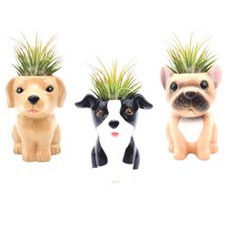 Russell's Bromeliads Puppy Collection Ceramic Air Plant