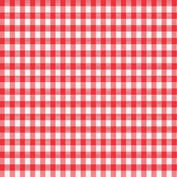 Magic Cover Red/White Checkered Vinyl Disposable Tablecloth 70 in. L X 52 in. W