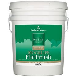 Benjamin Moore Regal Select Flat Tintable Base Base 2 Paint Exterior 5 gal