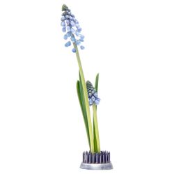 Chive Kenzan .8 in. H X 1 in. L Silver Metal Floral Frog