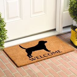 Calloway Mills 2 ft. W X 3 ft. L Black/Natural Coir Door Mat