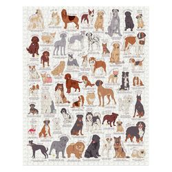 Chronicle Books Jigsaw Puzzle Multicolored 1000 pc