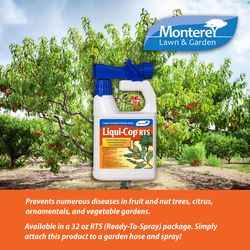 Monterey Concentrated Liquid Disease and Fungicide Control 1 qt