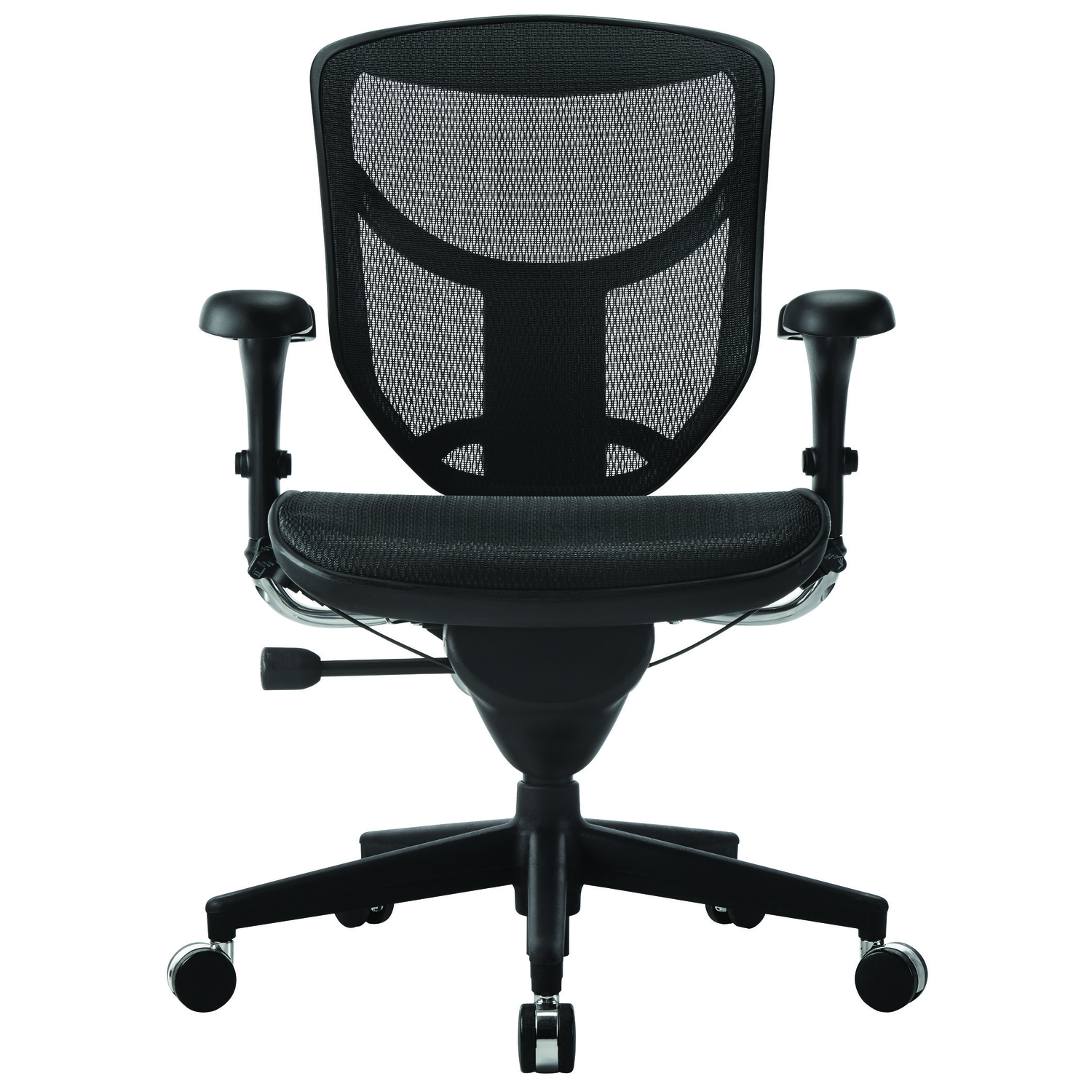 image-1