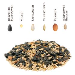 Songbird Selections Perfect Balance with Peanuts Wild Bird Food 10 lb