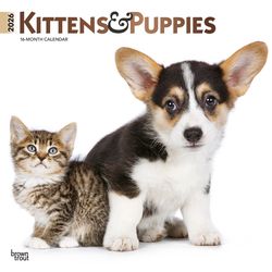 BrownTrout Publishers 2026 Square Flap FOIL .108 in. H X 12 in. L Multicolored Paper Kittens and Pup