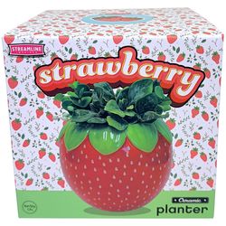 Streamline Ceramic Strawberry Planter Red/Green/Yellow
