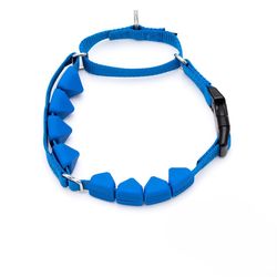 PetSafe Royal Blue Rubber Dog Collar Large