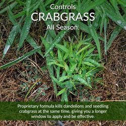 GreenView Fairway Formula Weed & Crabgrass Lawn Fertilizer For All Grasses 5000 sq ft