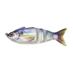 Lunkerhunt Fishing Lure 4.5 in.