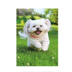 Avanti Press Greeting Cards