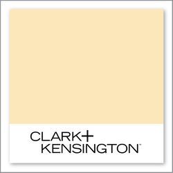 Clark+Kensington Lemon Twist 18D-2