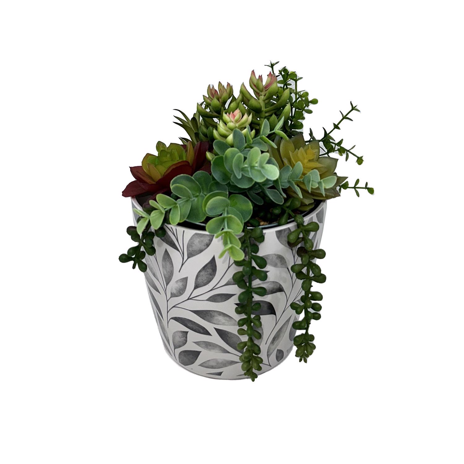 image-3