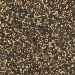 Kaytee Wild Finch Treat Bar Energy Treat Bar 14.5 oz