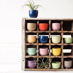 Chive Succulent Cup 1.75 in. D Ceramic Succulent Pot Grey