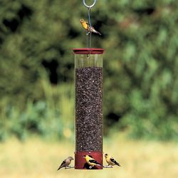 Droll Yankees Dipper Wild Bird 5 lb Polycarbonate Tube Bird Feeder 4 ports