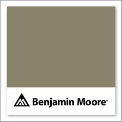 Benjamin Moore Passion Vine 1504