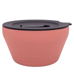 Rigwa Life Pint 28 oz Coral Food Storage 1 pk