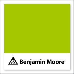 Benjamin Moore Margarita 2026-20