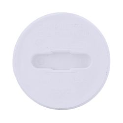 Charlotte Pipe Schedule 40 4 in. MPT X 4 in. D Hub PVC 4-1/2 in. Clean-Out Plug 1 pk