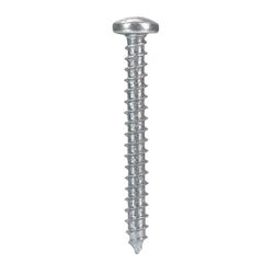 HILLMAN No. 10 Ga. X 1-3/4 in. L Phillips Pan Head Sheet Metal Screws 100 pk
