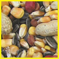 Cole's Critter Munchies Squirrel and Critter Food 20 lb