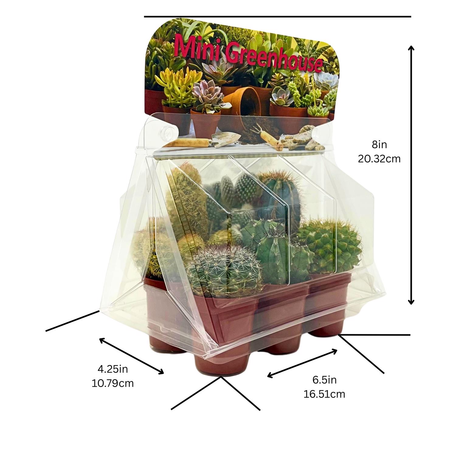 image-5
