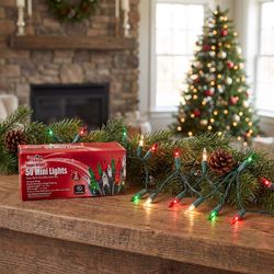 Everstar Incandescent Mini Red/Green/Pure White 50 ct String Christmas Lights 13 ft.