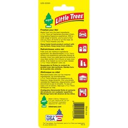 Little Trees Black Ice Scent Air Freshener Solid 2 pk