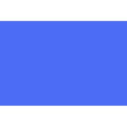 Bazic Products 20 in. W X 30 in. L Blue Foam Board