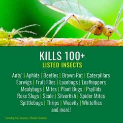 NATRIA Ready-to-Use Insect Disease & Mite Control Spray 24 oz
