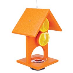 Songbird Essentials Oriole Plastic Fruit and Jelly Fruit and Nut Bird Feeder