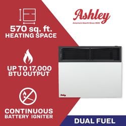 US Stove Ashley Hearth 570 sq ft 17000 BTU Natural Gas/Propane Wall Heater