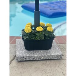 Savannah Planter 5.5 in. H X 13 in. W X 13 in. D Plastic Umbrella Planter Black
