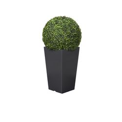 DW Silks 32 in. H X 16 in. L Green Polyester Boxwood Ball in Black Planter