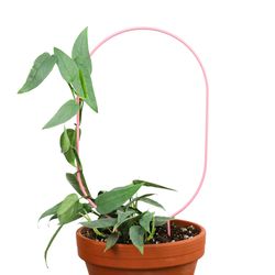 Mossify 17 in. H X 7.75 in. W X 7.75 in. D Pink Metal Planter Trellis