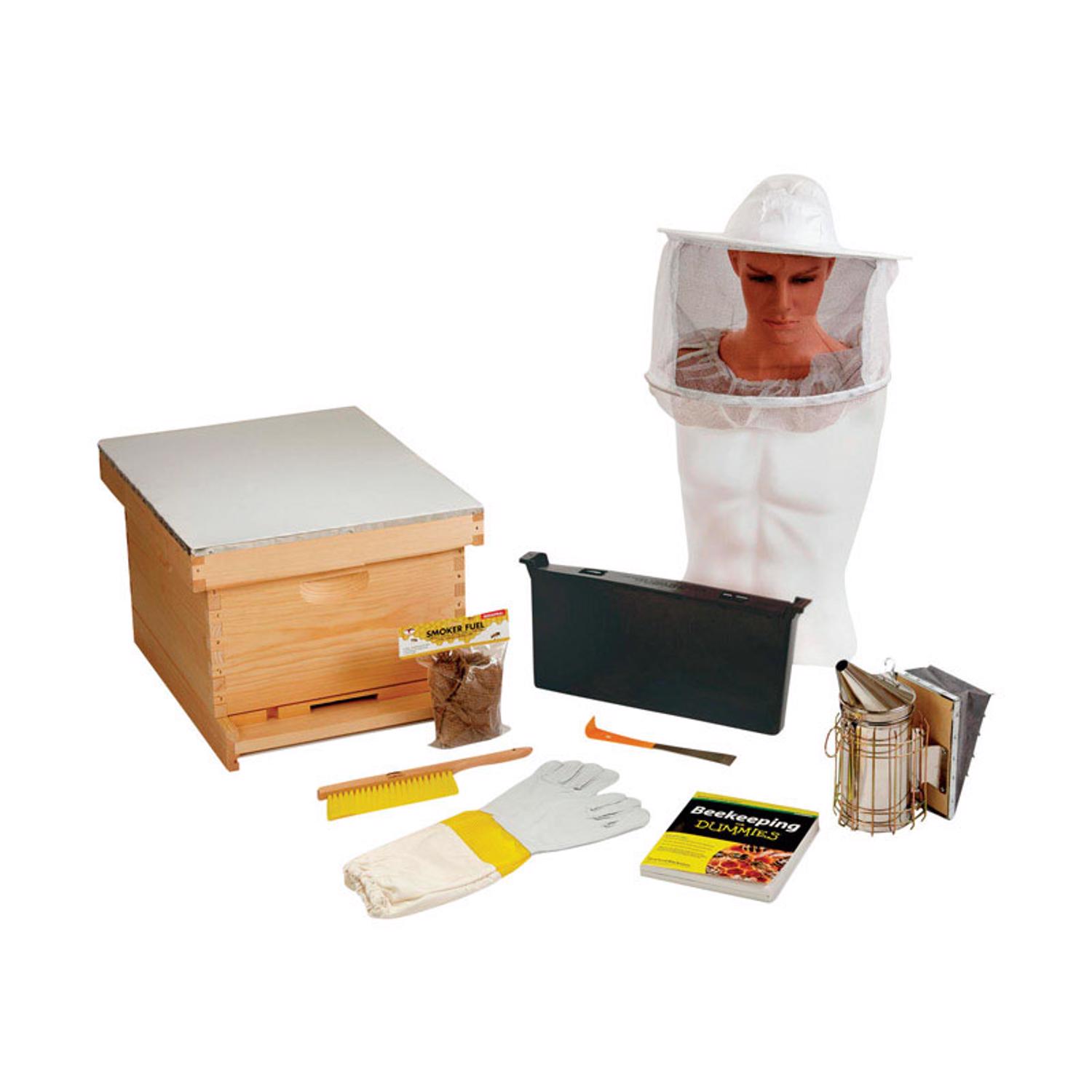 image-3