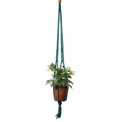 Primitive Planters Forest Green Macrame 36 in. H Plant Hanger 1 pk