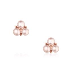 Montana Silversmiths Women's Rosewood Rodeo Earrings